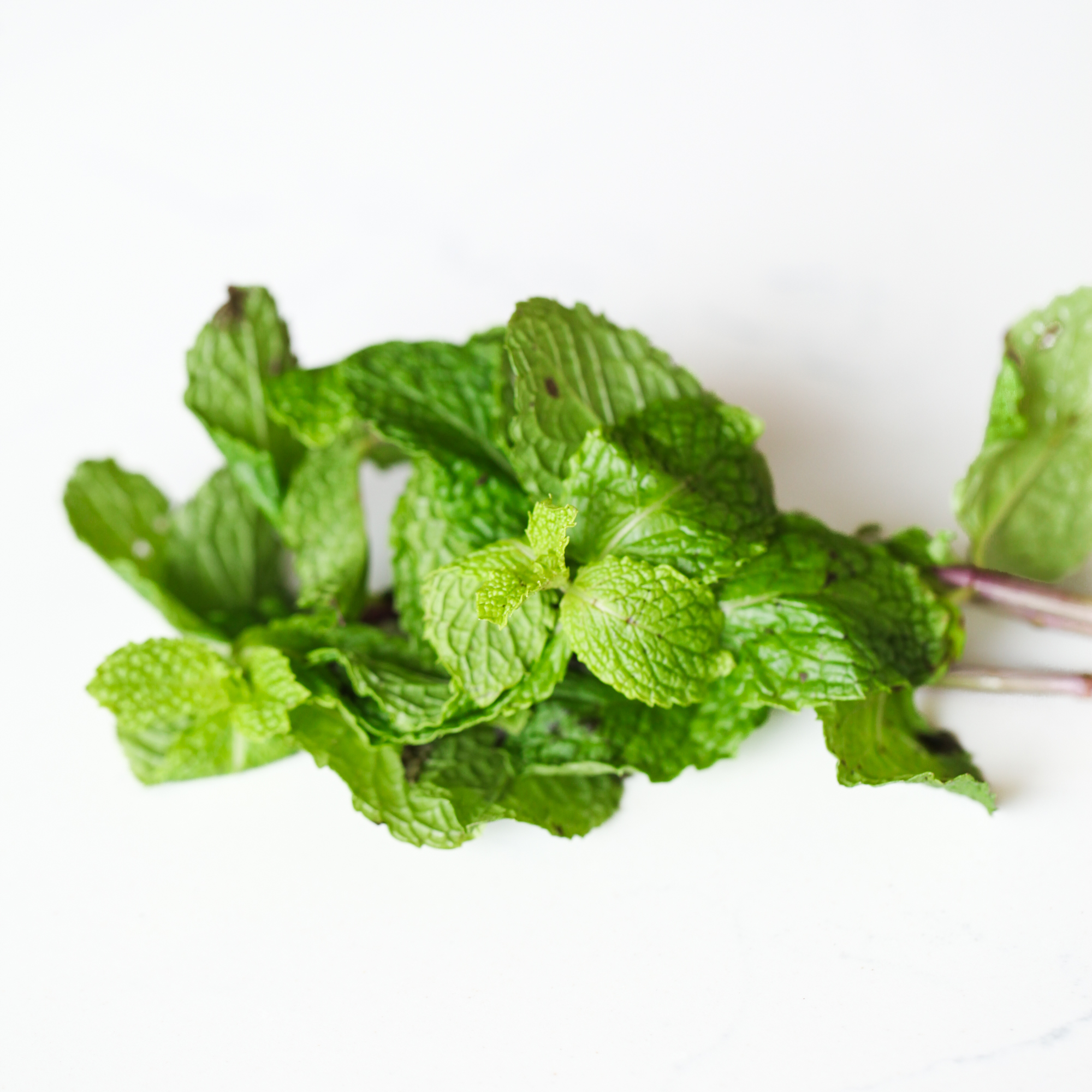 Organic Thai Mint